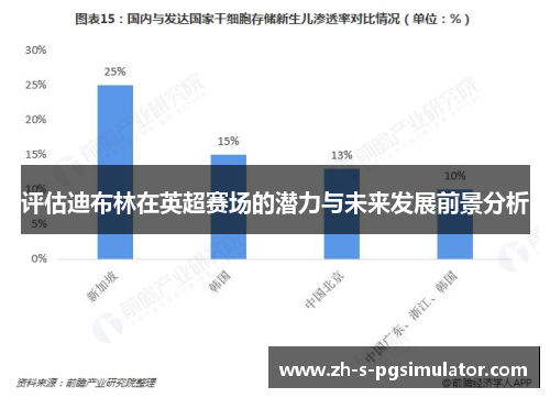 评估迪布林在英超赛场的潜力与未来发展前景分析